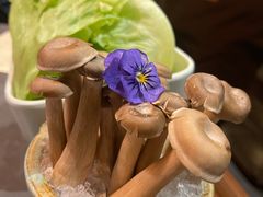 -牛村来人潮汕牛肉火锅(西单店)