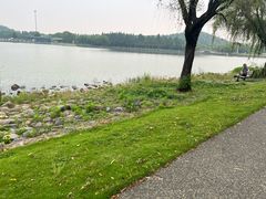 -上海月湖雕塑公园