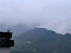 -石潭村