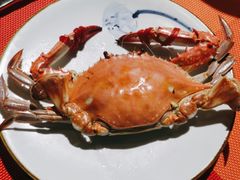 -烟台金海岸希尔顿酒店·開自助餐厅