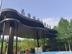 -黄海国家森林公园