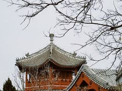 -西海子公园