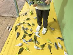 -上海大自然野生昆虫馆(东方明珠·爬宠昆虫探索中心)