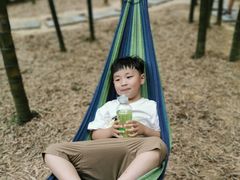 -陶祖圣境风景区