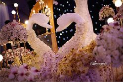 -光大会展中心国际大酒店-宴会厅