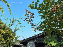 -乌镇景区