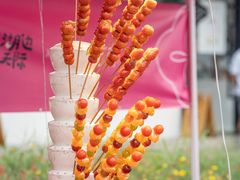 -东钱湖旅游度假区