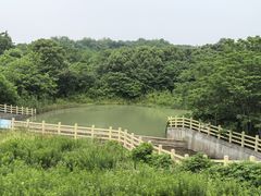 -池州市平天湖风景区