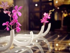 -天津津利华酒店