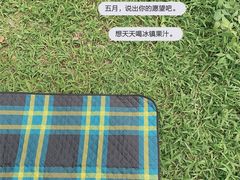 -南国桃园旅游度假区