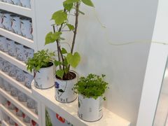 -大树餐厅(环球港店)