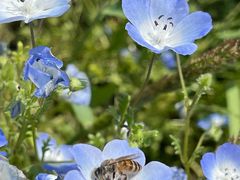 -上海滨江森林公园