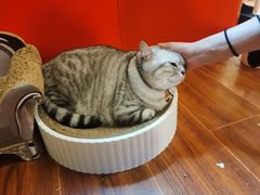 -H立方实景剧情密室(天河旗舰店)
