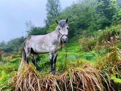 -萍乡武功山风景名胜区