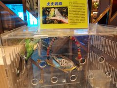 -御海8号温泉酒店