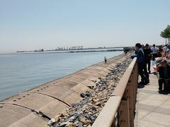 -东疆建设开发纪念公园