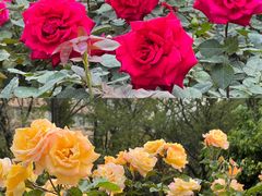 -人民公园(罗湖区)