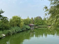 -济南大明湖景区