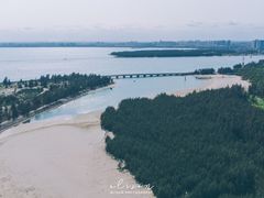 -东郊椰林
