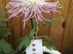 -共青国家森林公园-售票处