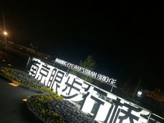 -南京眼步行桥