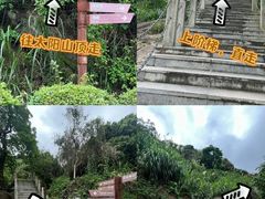 -阳台山森林公园