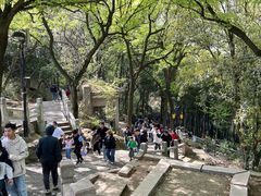 -灵岩山风景区