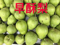 -仁寿山