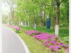 -昆山城市生态森林公园