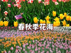-国家植物园