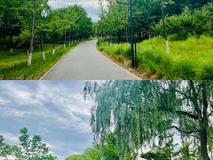 -南海子公园