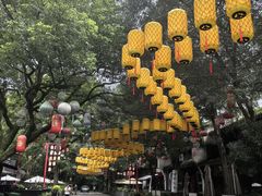 -西溪国家湿地公园