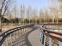 -北龙湖湿地公园