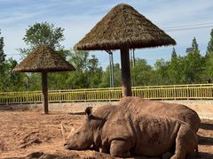 -鄂尔多斯野生动物园