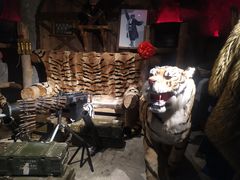 -大瓢把东北绺帮菜(华山路店)