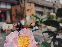 -见山书院