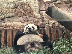 -石家庄市动物园