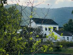 -树山生态村