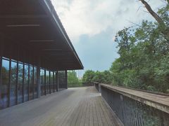 -白鹭湾湿地公园