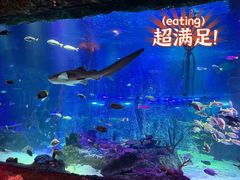 -沈阳海洋探索中心