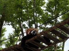 -上海野生动物园
