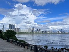 -深圳湾公园(南山区)