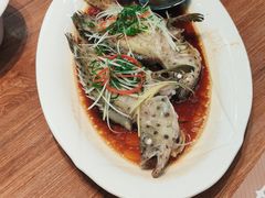 -九號渔港·蒸汽海鲜·粤菜茶点(八卦岭店)