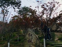 -广州市帽峰山景区