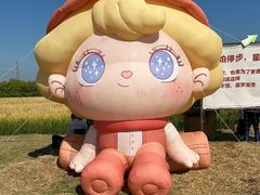 -长洲岛