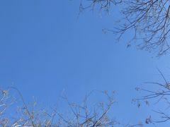 -滨河世纪广场公园
