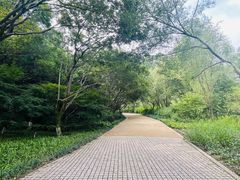 -西湖风景区-江洋畈生态公园
