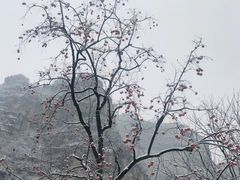 -妙峰山风景名胜区