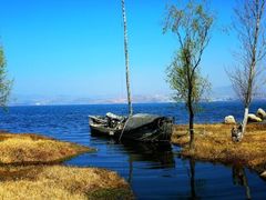 -洱海月湿地公园