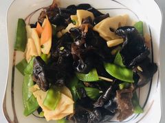 -好孕妈妈月嫂(沈河总店)